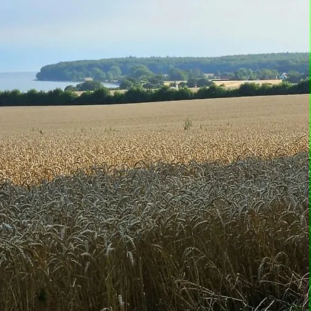 Danmonhus Mon Magleby