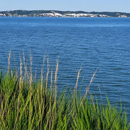 Danmonhus Mon
